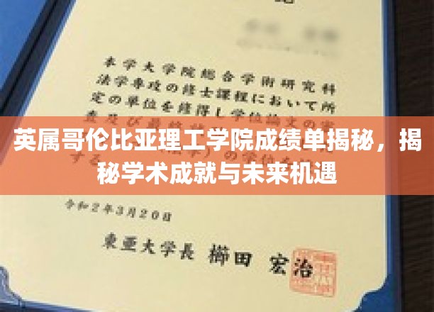 探秘英属哥伦比亚理工学院，成绩单背后的学术辉煌与无限未来