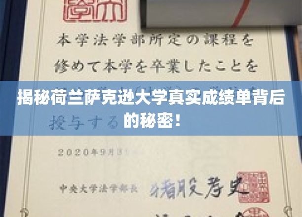 揭秘荷兰萨克逊大学真实成绩单背后的秘密！