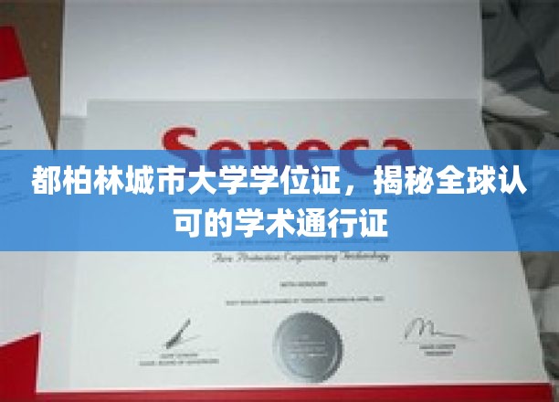欧洲学府通行证，都柏林城市大学学位证的国际认可魅力