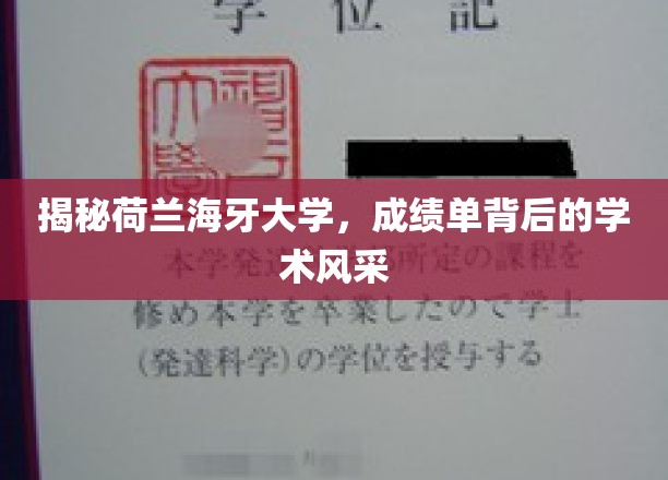 揭秘荷兰海牙大学，成绩单背后的学术风采