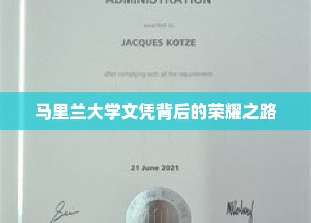 马里兰大学文凭背后的荣耀之路