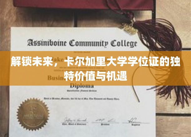卡尔加里大学学位证，开启无限可能的钥匙