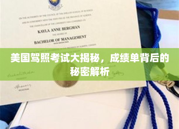 美国驾照考试揭秘，成绩单背后隐藏的奥秘大公开