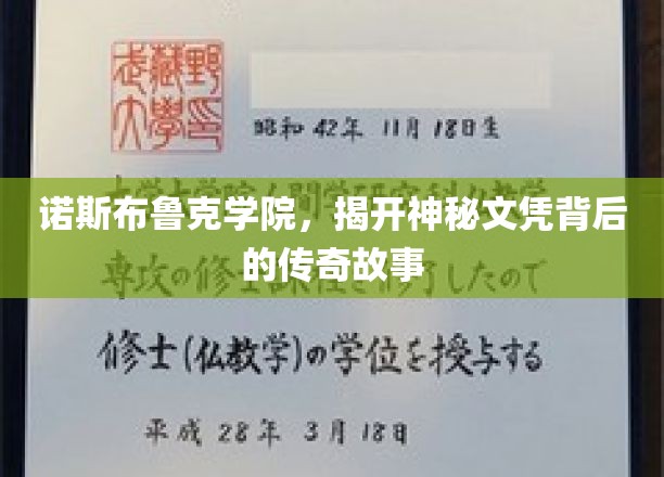 探寻诺斯布鲁克学院，神秘文凭背后的璀璨传奇