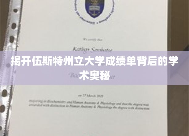 揭开伍斯特州立大学成绩单背后的学术奥秘