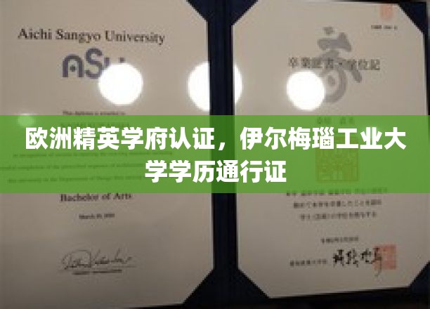 跨国认可精英通行证，伊尔梅瑙工业大学学历全球通行！