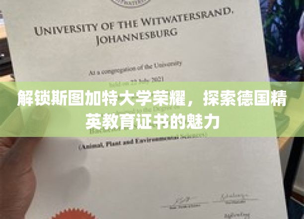 斯图加特大学光环揭秘，探寻德国精英教育证书的非凡价值