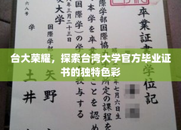 台大荣耀，探索台湾大学官方毕业证书的独特色彩