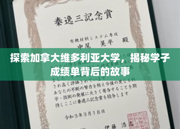 揭开维多利亚大学学子成绩单背后的辉煌篇章