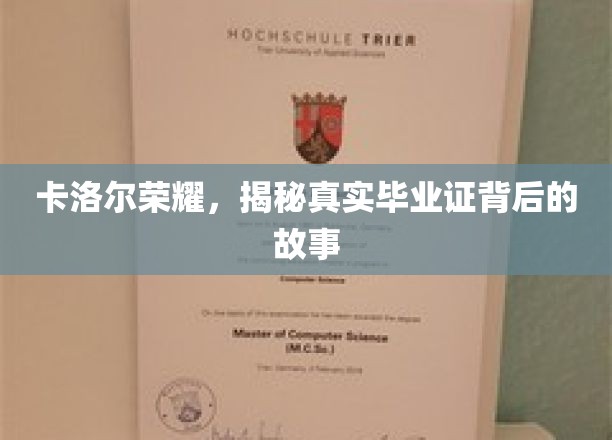 卡洛尔荣耀，揭秘真实毕业证背后的故事