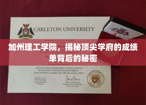 解码加州理工，揭秘顶尖学府的卓越成就之谜