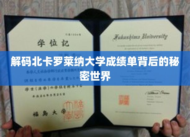 解码北卡罗莱纳大学成绩单背后的秘密世界