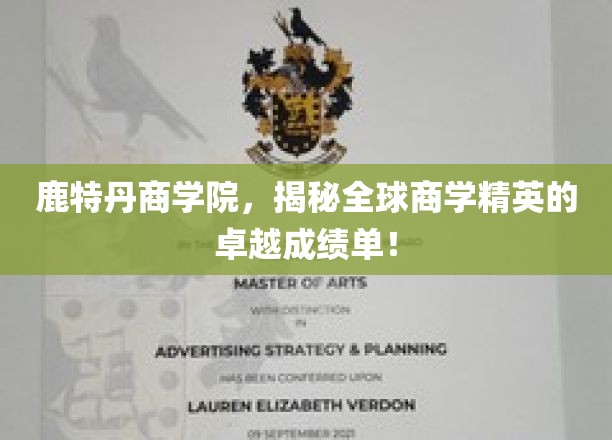 鹿特丹商学院，商界精英的华丽足迹，揭秘非凡成就！
