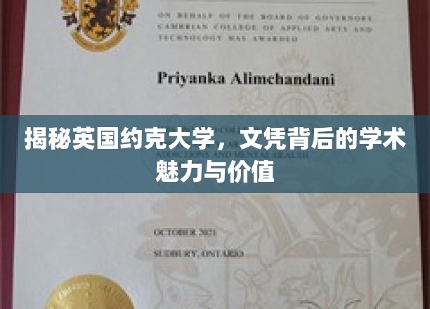 探秘约克大学，探寻文凭背后的学术魅力与无限价值
