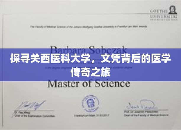 探索关西医科大学，文凭背后的医学传奇之旅