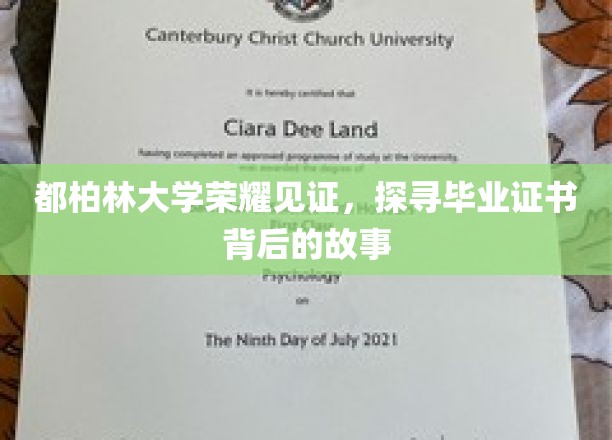 都柏林荣耀瞬间，毕业证书背后的传奇之旅