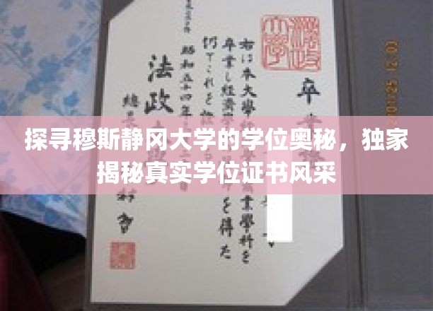 穆斯静冈大学学位之谜，一窥证书背后的荣耀与传奇