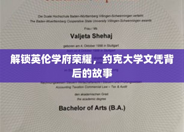 揭秘约克大学，荣耀文凭背后的不凡历程