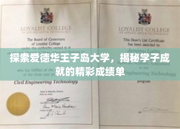 岛上学霸风云录，爱德华王子岛大学学子辉煌成就大揭秘