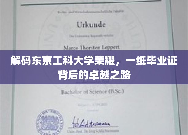 揭开东京工科大学荣耀面纱，毕业证背后的非凡成长历程