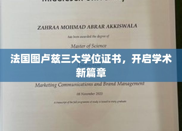 图卢兹三大学位证书，引领欧洲学术新潮流