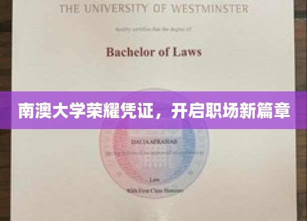 南澳大学学子荣耀通行证，解锁职场未来之门