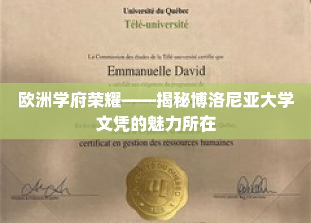 博洛尼亚荣耀，探寻欧洲名校文凭的独特魅力