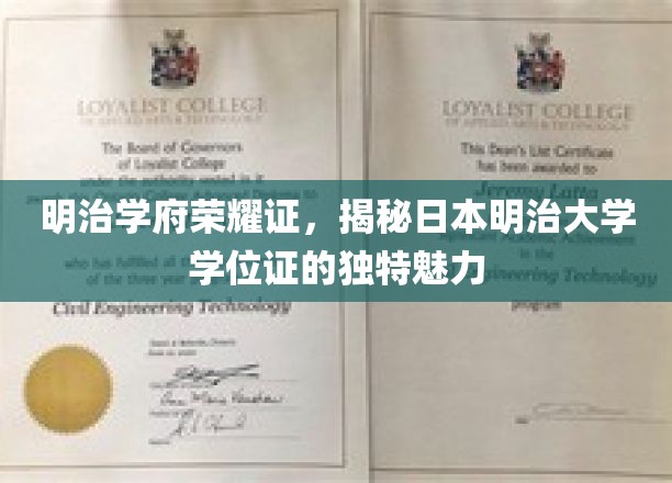 明治学府荣耀证，揭秘日本明治大学学位证的独特魅力