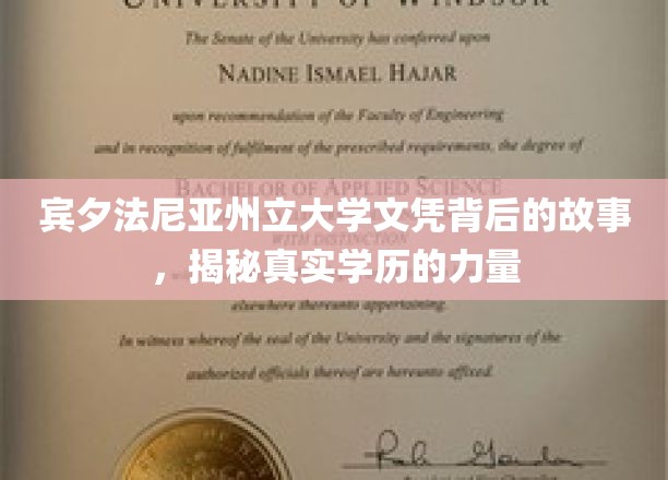 宾大文凭背后，探寻学历的非凡影响力