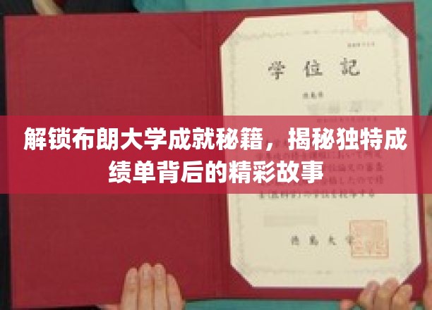 布朗大学卓越之路，揭开非凡成绩单背后的传奇篇章