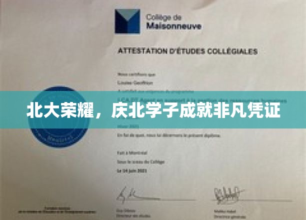 庆北荣耀，学子非凡成就的见证