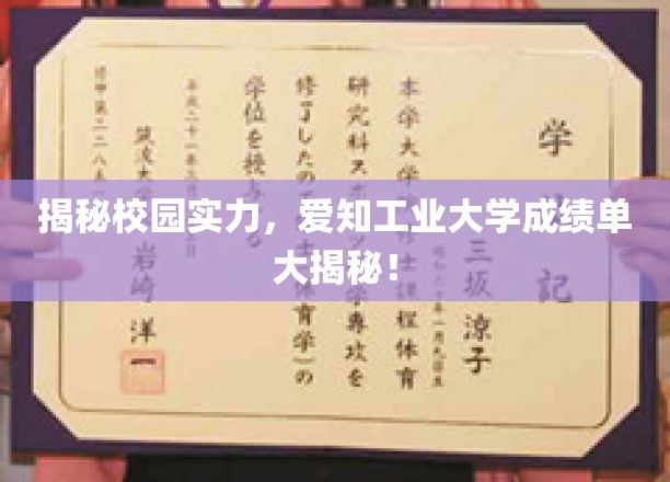 揭秘校园实力，爱知工业大学成绩单大揭秘！