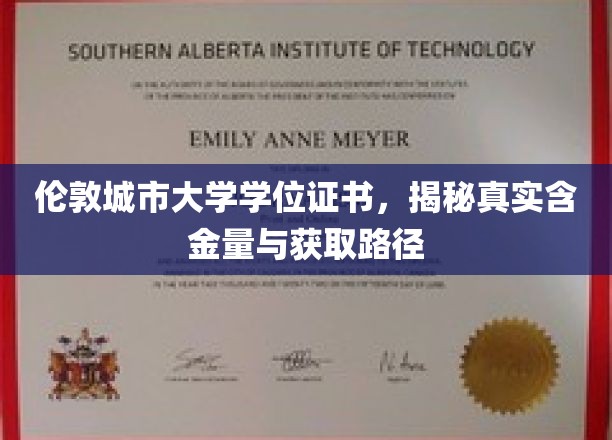 伦敦城市大学学位证书，揭秘真实含金量与获取路径