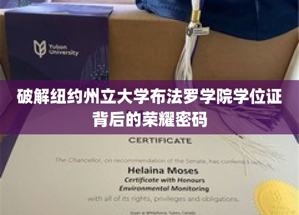 解锁纽约州立大学布法罗学院学位证的荣耀之谜