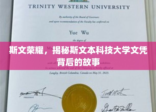 斯文本文凭之谜，一探究竟的荣耀背后