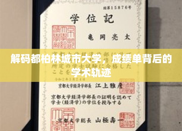 解码都柏林城市大学，成绩单背后的学术轨迹