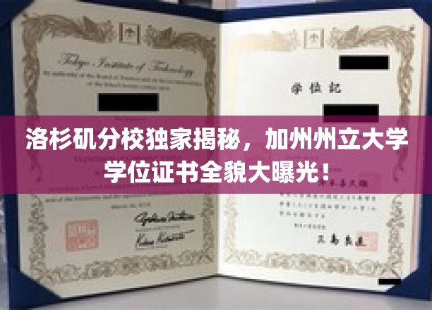 洛杉矶分校独家揭秘，加州州立大学学位证书全貌大曝光！