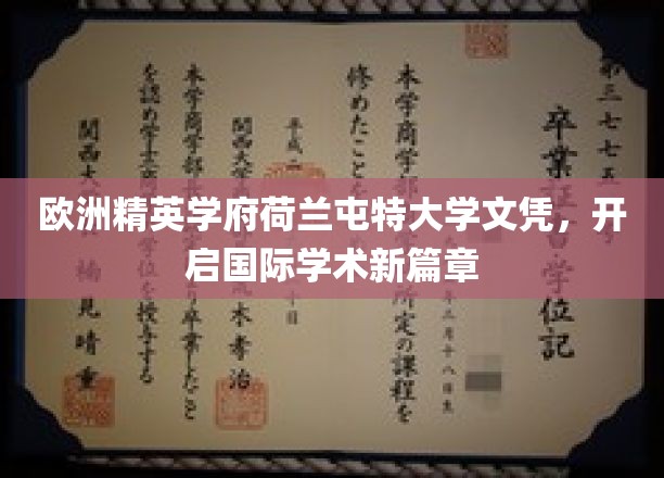 荷兰屯特大学学位，引领全球学术新航向