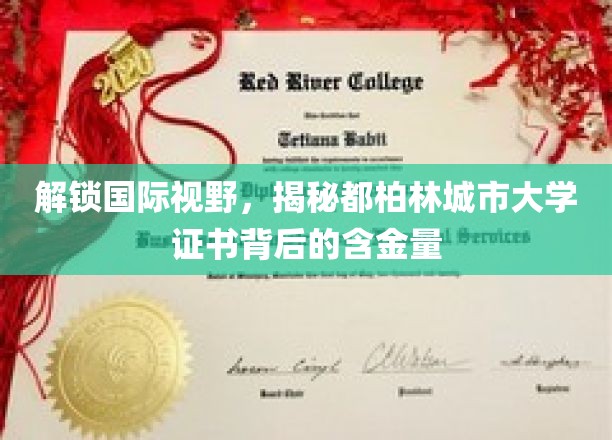 解锁国际视野，揭秘都柏林城市大学证书背后的含金量