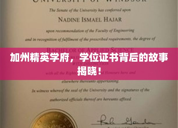 加州精英学府,学位证书背后的故事揭秘!