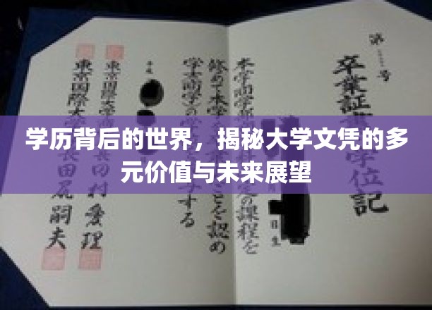 学历背后的世界，揭示大学文凭的多元价值与未来展望