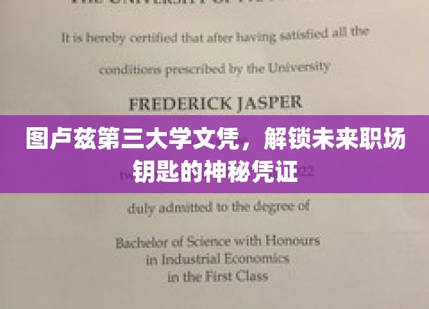 图卢兹三校文凭，开启职场新篇章的神秘钥匙