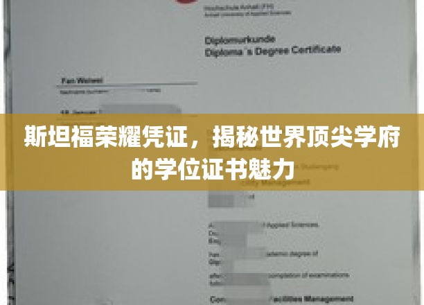 斯坦福学位证书，解码全球顶级学府的独特魅力