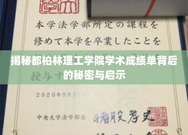 揭秘都柏林理工学院学术成绩单背后的秘密与启示
