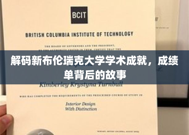 解码新布伦瑞克大学学术成就，成绩单背后的故事