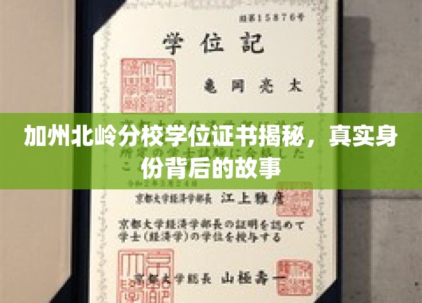 加州北岭分校学位证书揭秘，真实身份背后的故事