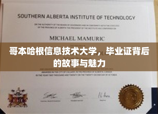哥本哈根信息技术大学，毕业证背后的故事与魅力