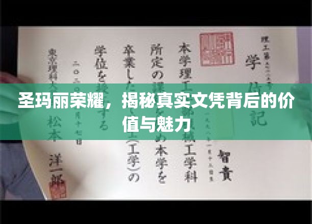 探寻圣玛丽荣耀，文凭背后的非凡价值与迷人风采
