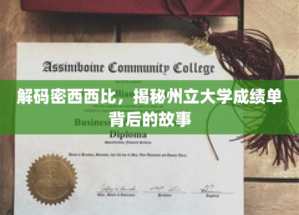 解码密西西比，揭秘州立大学成绩单背后的故事