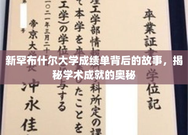 新罕布什尔大学成绩单背后的故事，揭秘学术成就的奥秘
